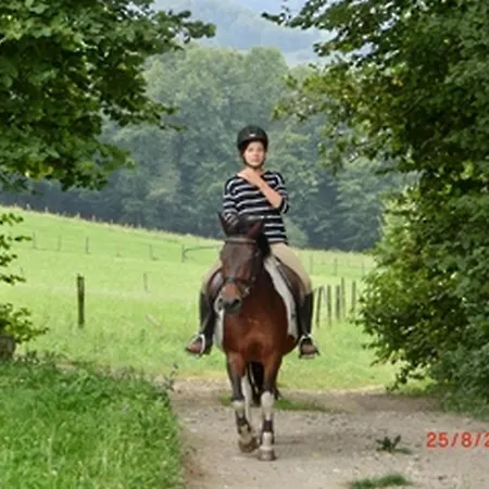 Gaestehaus Forstner * Loich