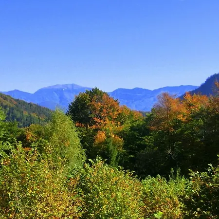 Gaestehaus Forstner Apartmán
