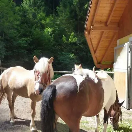 Apartmán Gaestehaus Forstner *