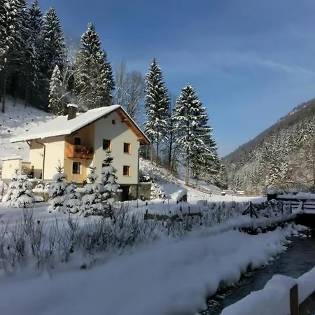 Gaestehaus Forstner *