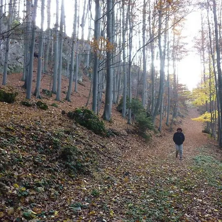 Gaestehaus Forstner *