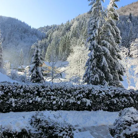 Gaestehaus Forstner *