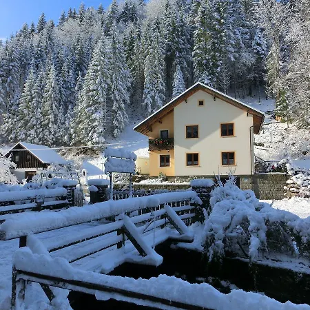 Gaestehaus Forstner *