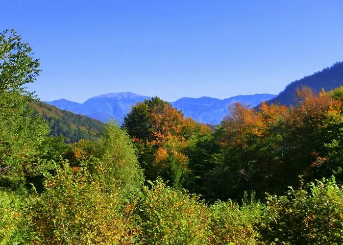 Gaestehaus Forstner Lejlighed