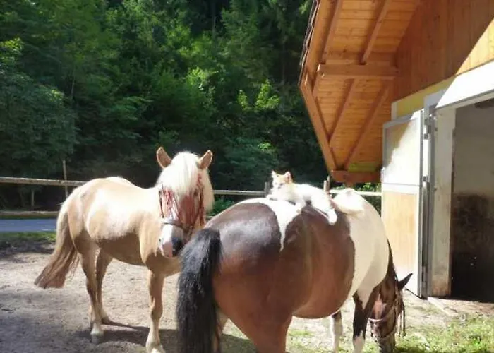 Lejlighed Gaestehaus Forstner *