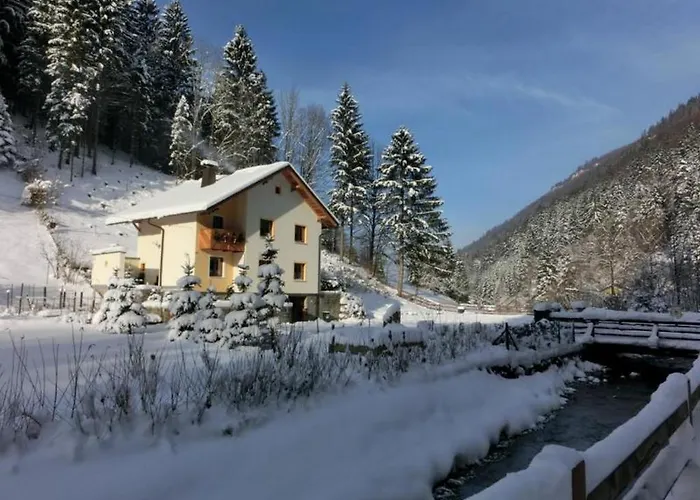 Gaestehaus Forstner *