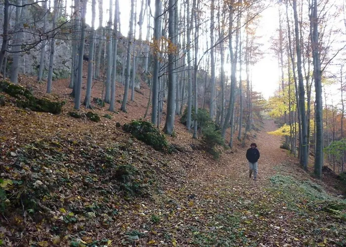 Gaestehaus Forstner *