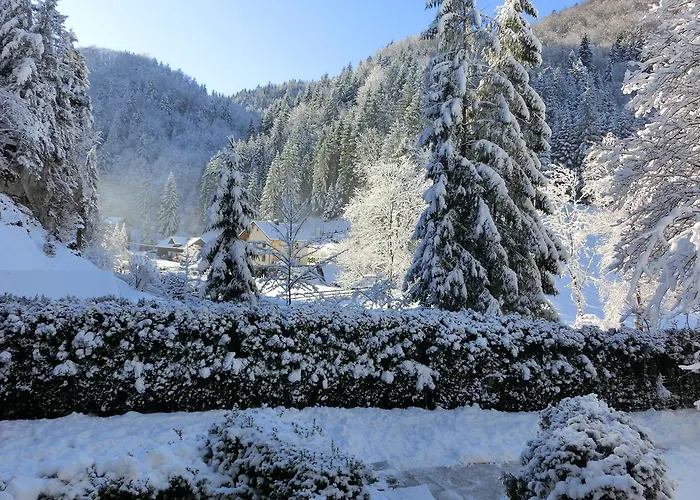 Gaestehaus Forstner *