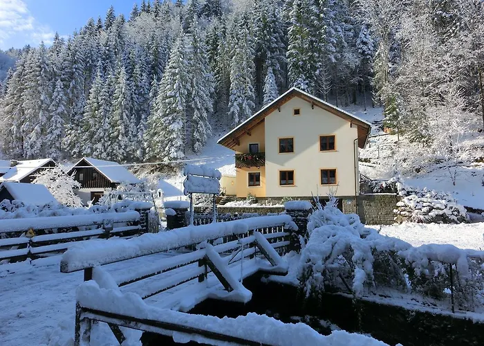 Gaestehaus Forstner *