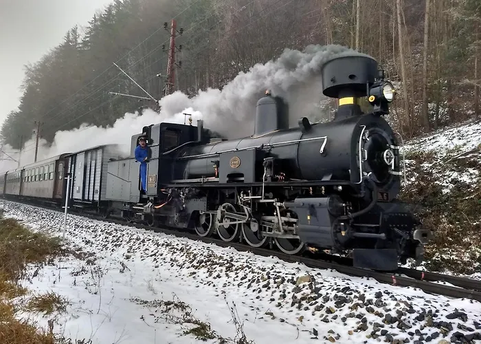 Lejlighed Gaestehaus Forstner